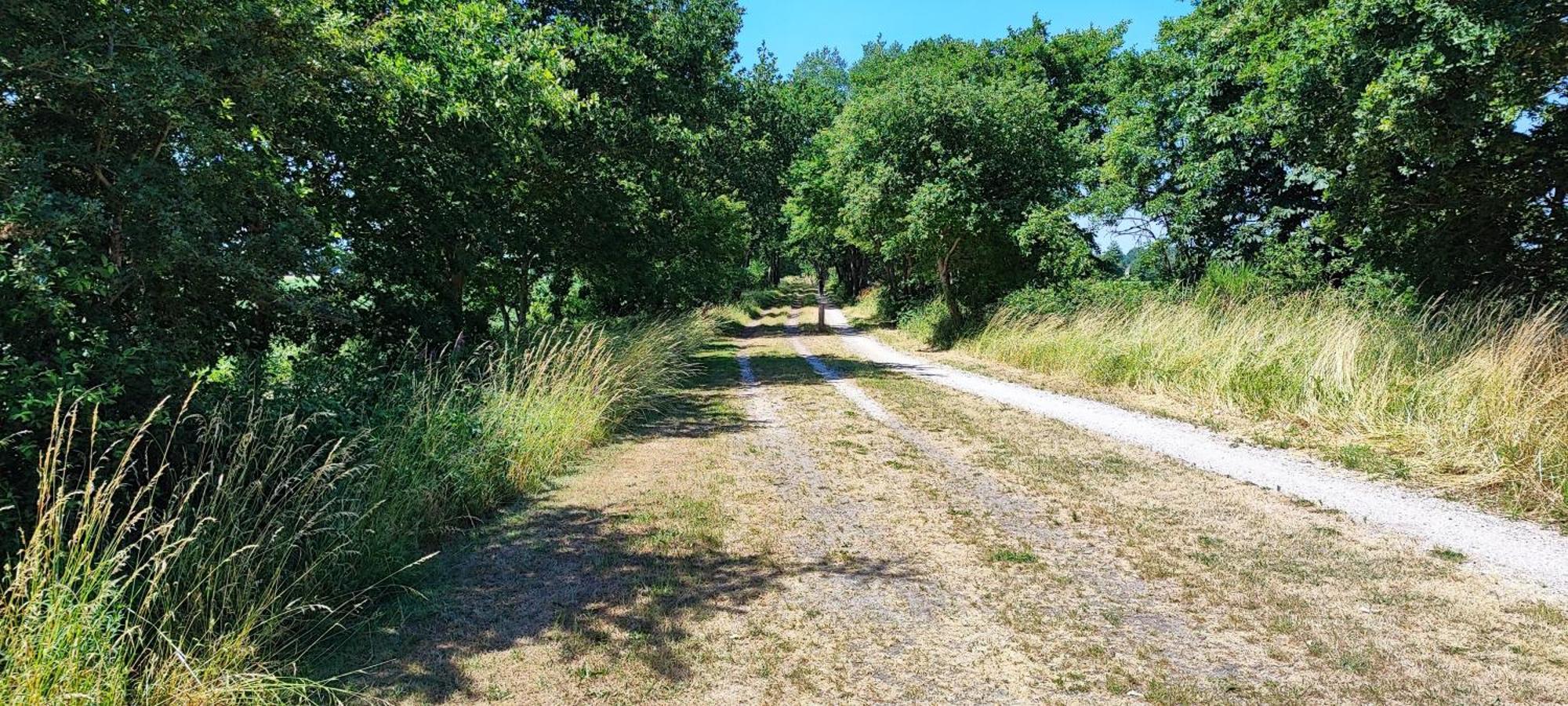 Chalet In Het Groen Met Airco Drachtstercompagnie Eksteriør bilde